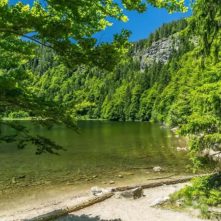 Ferienwohnung Seeblick Nr 1, 3 Zi-barental, Feldberg *