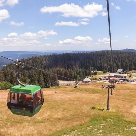 דירה Ferienwohnung Seeblick Nr 1, 3 Zi-barental, Feldberg *