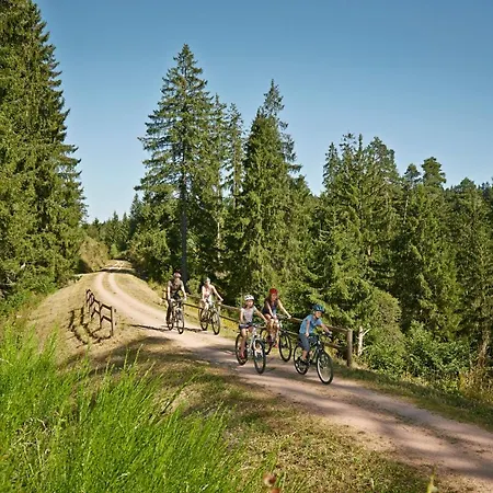 Ferienwohnung Seeblick Nr 1, 3 Zi-barental, Feldberg *
