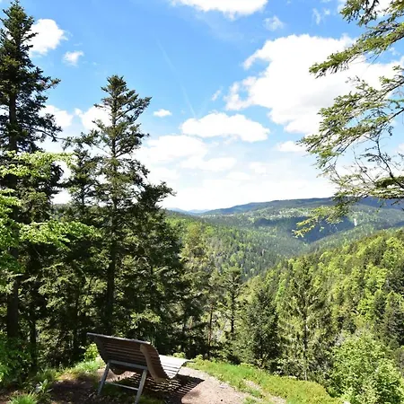 דירה Ferienwohnung Seeblick Nr 1, 3 Zi-barental, Feldberg Rotwasser